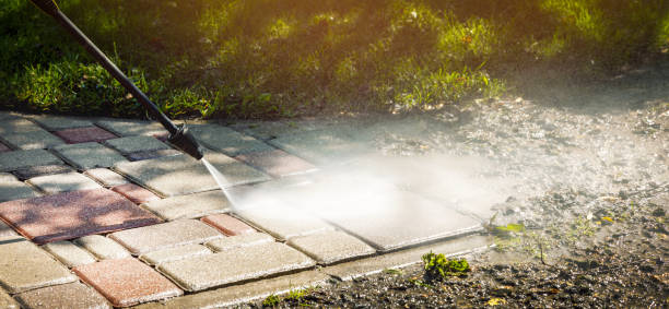 Best Solar Panel Cleaning  in Glenwood, MN