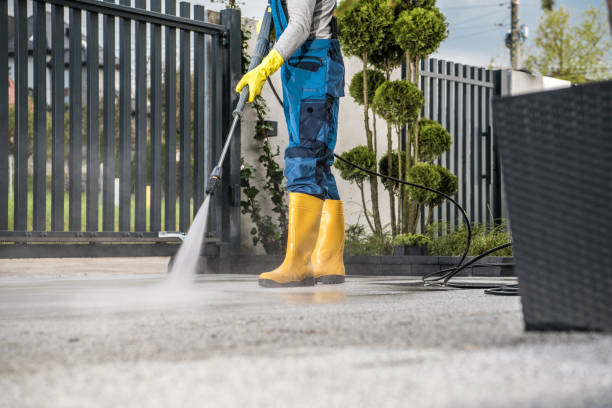 Best Dumpster Area Cleaning  in Glenwood, MN